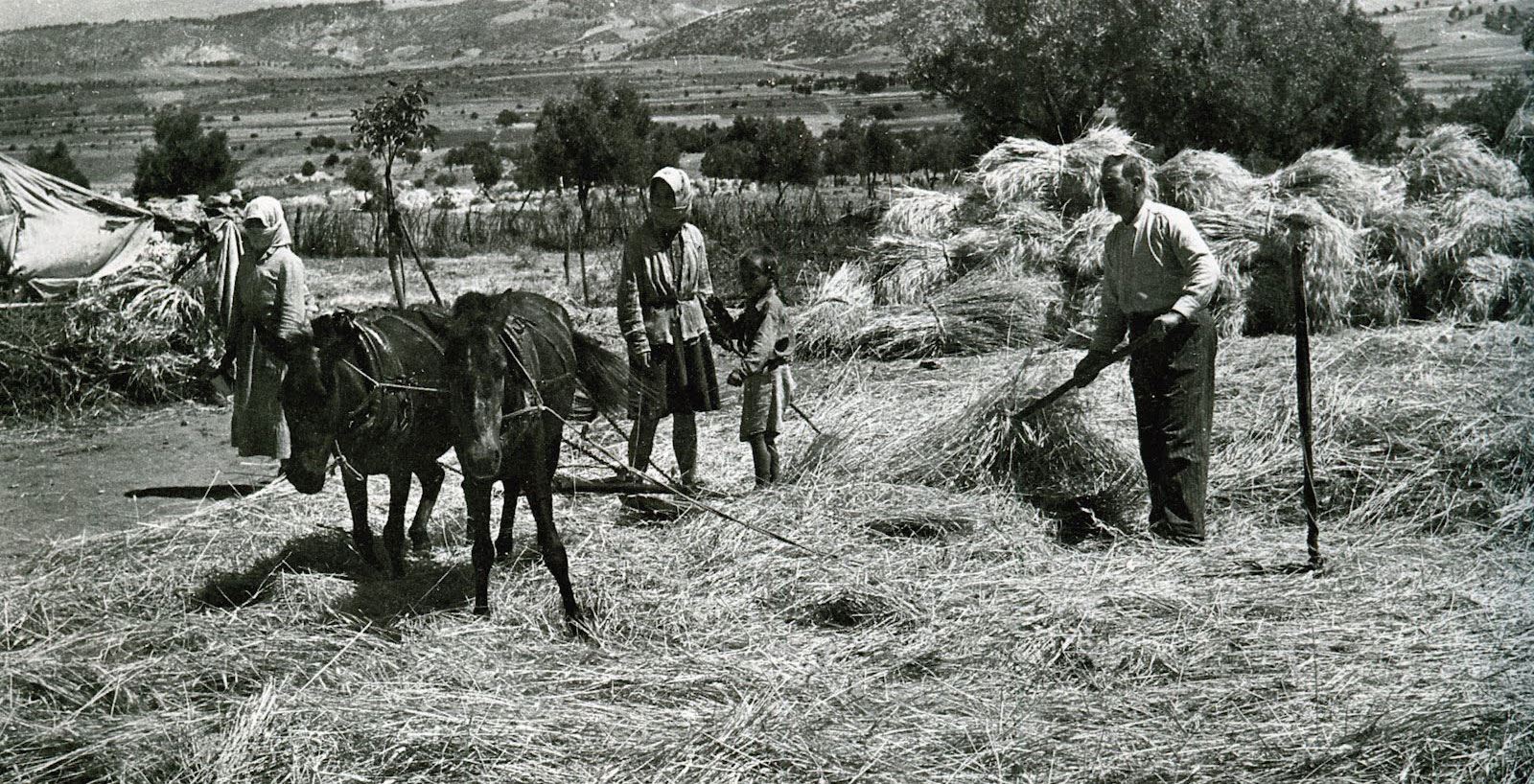 Εικόνα από Ιστορικό